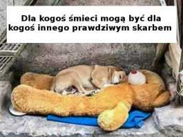 15 zdjęć, które sprawiają, że jeszcze bardziej doceniamy życie. Zwykła codzienność