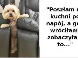 Te zwierzaki przyłapano na gorącym uczynku. Nawet nie czują się winne