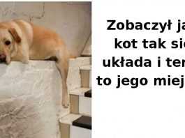 Galeria zdjęć, które pokazują, że nikt nie rozśmieszy cię tak jak twój własny zwierzak