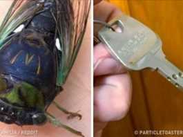 Ci ludzie doświadczyli czegoś, co trudno wytłumaczyć. Gdy natura mówi, że czas coś zjeść