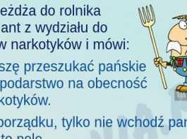 Nie każdy uszanuje autorytet urzędu…