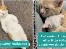 17 udowadniających, że zasnąć można w każdej pozycji