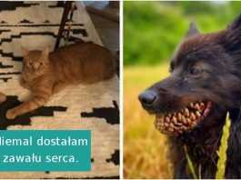 17 zwierzaków, które nieźle przestraszyły swoich właścicieli