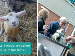 17 zdjęć, które podniosą cię na duchu i poprawią humor nawet w ciężkim dniu