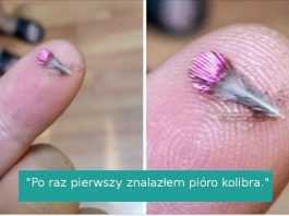16 osób, które znalazły coś wyjątkowego w najmniej oczekiwanej sytuacji