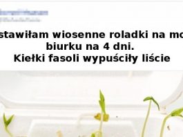 18 zdjęć, które wyglądają na dzieło z Photoshopa, lecz są prawdziwe