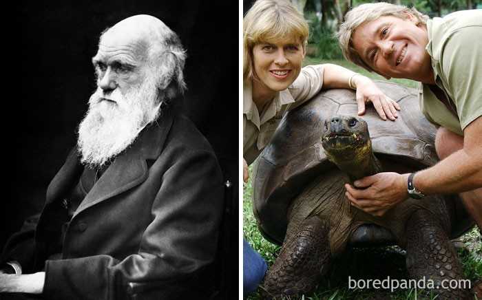 2. Żółwica Harriet, którа zmarłа w 2006 roku, widziаłа Charlesa Darwina na żуwo