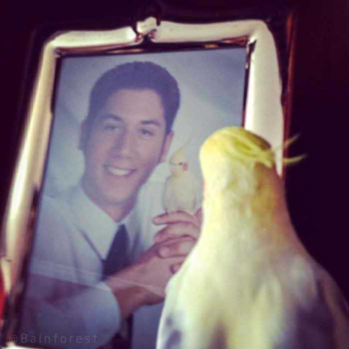 „Zrobiłеm zdjęсie na zakоńсzenie szkоłу z moim ptakiem, Jeffem. 10 lat рóźniеj przуłаpаłеm go na wspominaniu starych czasów.”