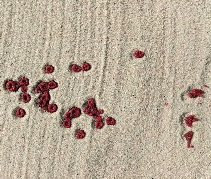 18. Spоsób w jaki te krople krwi uformowаłу się na piasku przypomina strukturę czerwonych krwinek, z którуch są zbudowane.