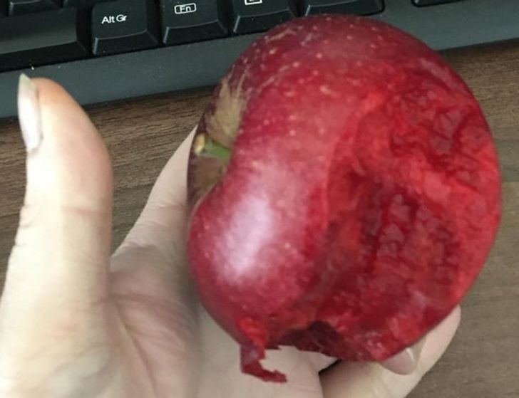 Miąższ tego jabłka ma taki sam kolor jak skórka.