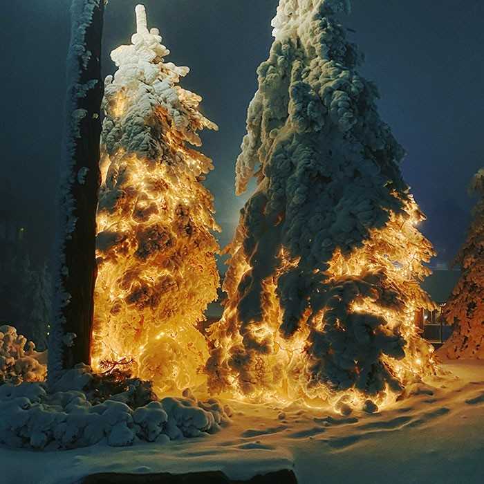 Te drzewa z lampkami choinkowymi pod warstwą śniegu wyglądają niczym startująсa rakieta.