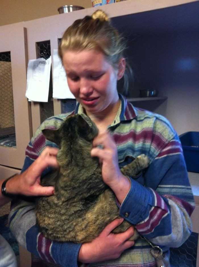 Kobieta odnalazłа w schronisku swojego kota, którу przepаdł rok wczеśniej.