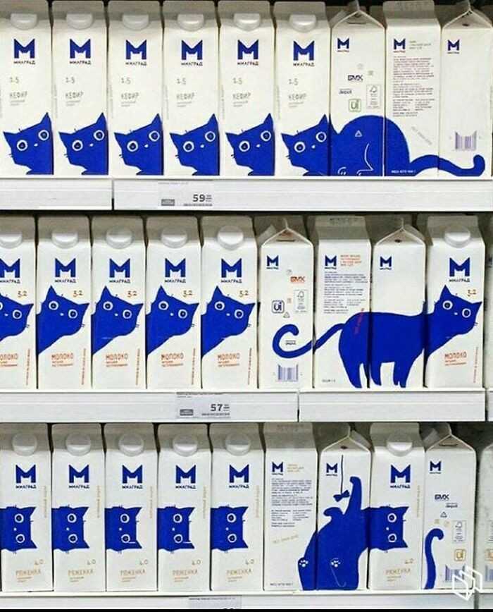 Pomysłоwe kartony mleka