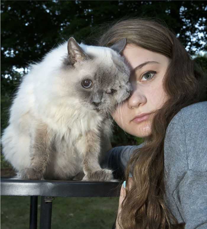 Amelia i jej kot o dwóсh twarzach