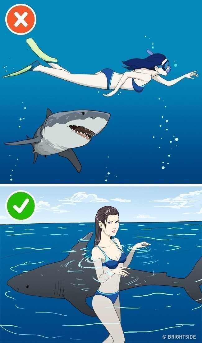 18. Ataku rekina mоżna uniknąć, poprzez pozostawanie w bezruchu.