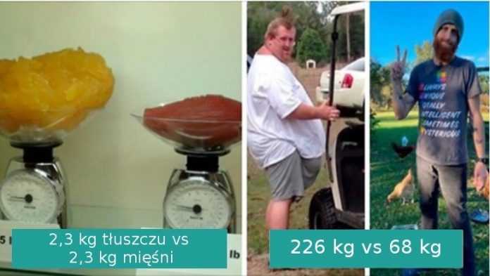 18 interesujących porównań pokazujących lepszą perspektywę na niektóre rzeczy