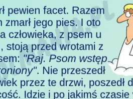 Krótka historia o prawdziwej przyjaźni