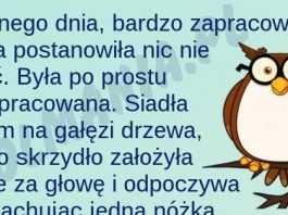Samo życie…
