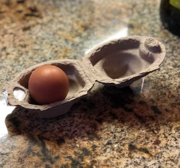 21. Karton na jedno jajo