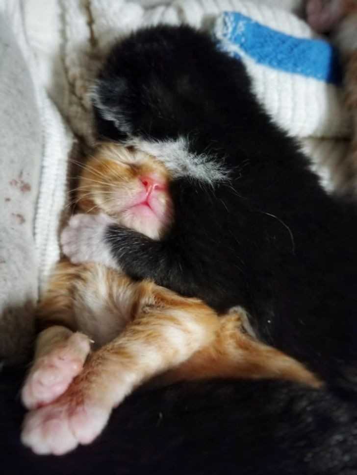 Zasnęli przytuleni do siebie.