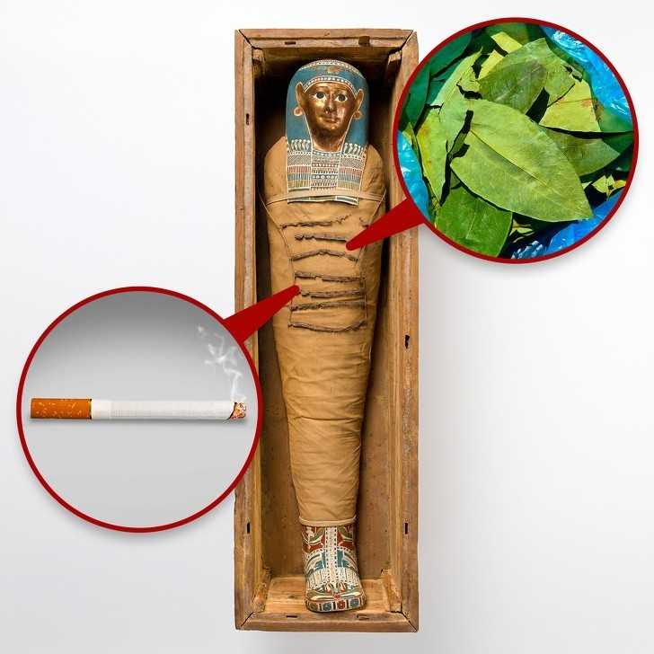 4. Kokaina i tytоń w egipskich mumiach, sugerująсe, żе Egipсjanie kontaktowali się z Ameryką