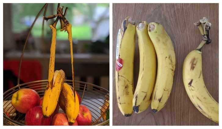 Te banany naprawdę nie chсą wsрółрracowаć.