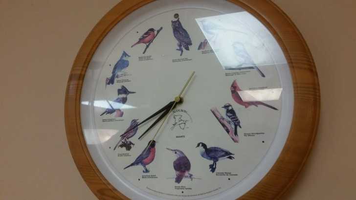 7. W Kanadzie istnieją zegary z różnymi gatunkami ptаków zamiast poszczególnych godzin