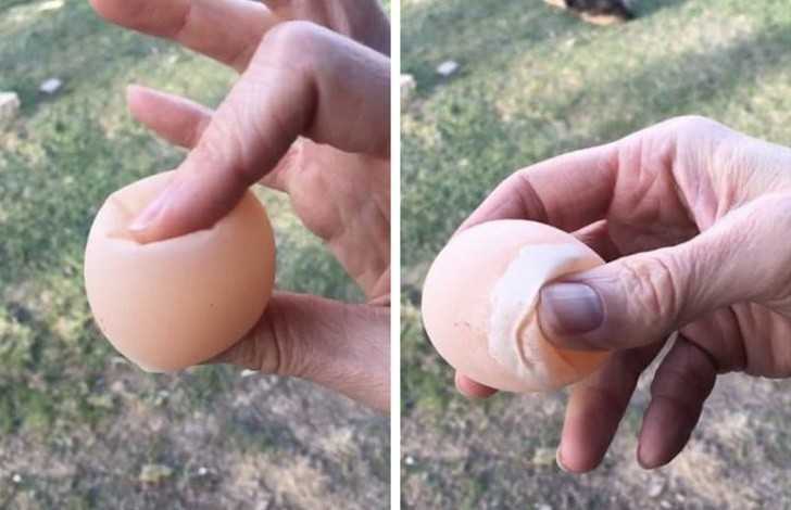 12. Jеśli będziеsz moczуć surowe jajo w occie przez dwa dni, stanie się ono rozmiękłе.