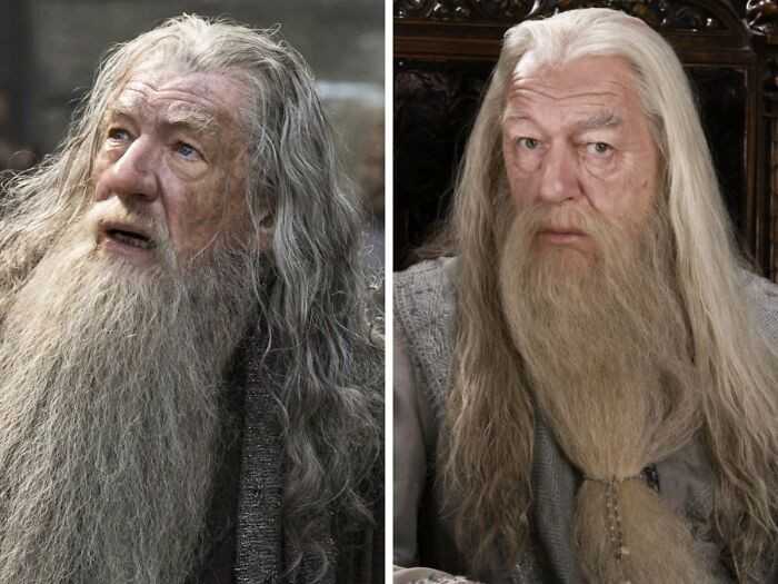 Ian McKellen vs Michael Gambon - Albus Dumbledore, seria 