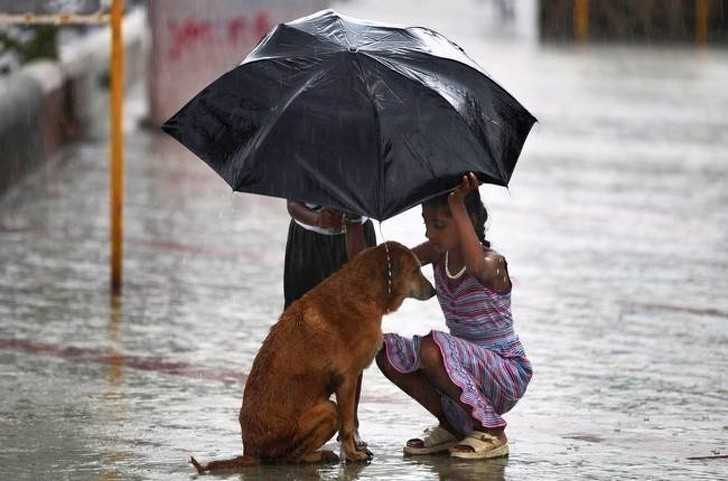 12. Dzieci chroniąсe psa podczas ulewy w Indiach
