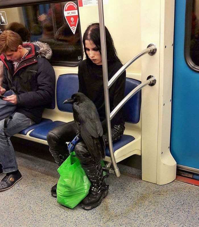 Dziewczyna i jej kruk w metrze