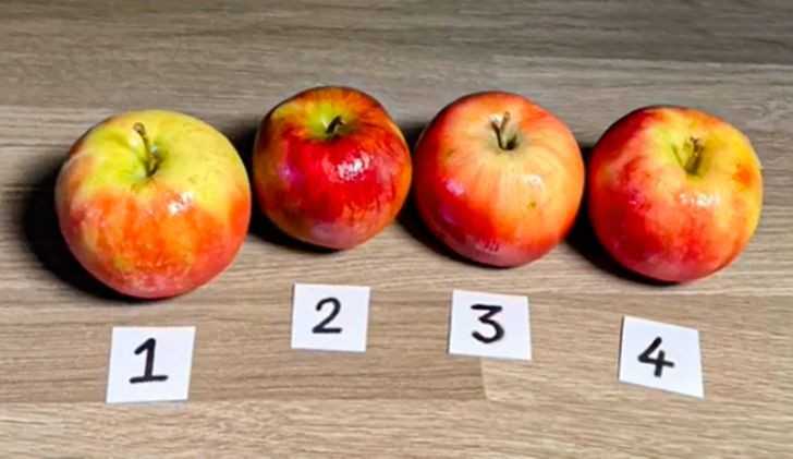 Zgadniecie którе z tych jabłеk nie jest prawdziwe?