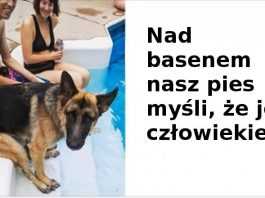 Te zdjęcia jasno pokazują, że zwierzaki coraz bardziej upodabniają się do swoich właścicieli.