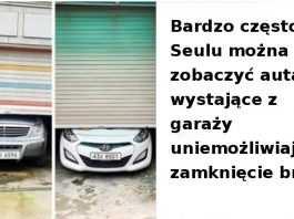 16 szalonych rzeczy z Korei Południowej, które sprawiają, że chcemy odwiedzić ten kraj