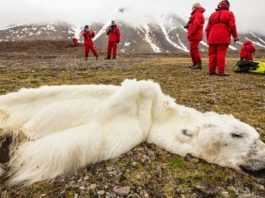 Nasza planeta jest w o wiele słabszej kondycji niż Ci się wydaje. Te zdjęcia są  najlepszym dowodem