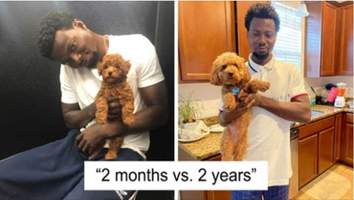 Ludzie dzielą się uroczymi zdjęciami „Przed i po”, ukazującymi jak szybko dorastają ich psy