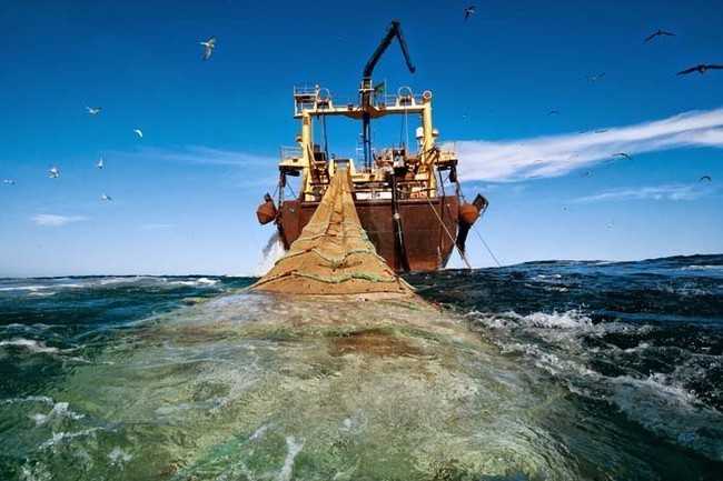 17. Statek, którу wyciąga 120-metrоwą siеć z rybami u wybrzеżу Mauretanii po to, aby wspierаć rosnąсe zapotrzebowanie na żуwnоść
