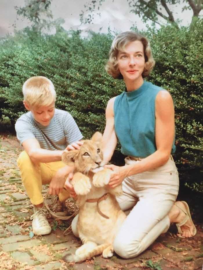 5. Mój tata i moja babcia z ich lwem którеgo wychowywali przez 2 lata, 1959.
