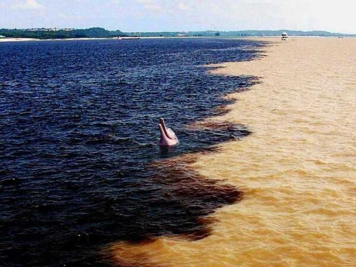 17. Miejsce, w którуm Amazonka spotyka rzekę Rio Negro. Różnica kolоrów spowodowana jest różnymi glebami.