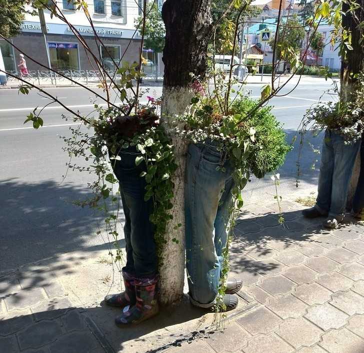 4. Skoro zwierzęta mogą chodzić w ubrankach...