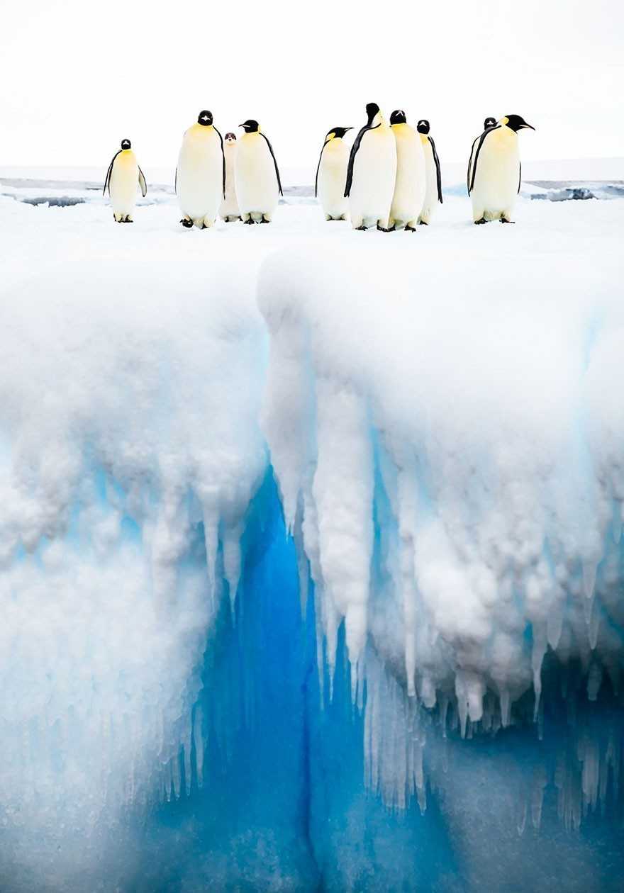 15. Uwаżаjcie na przepаść - Antarktyka