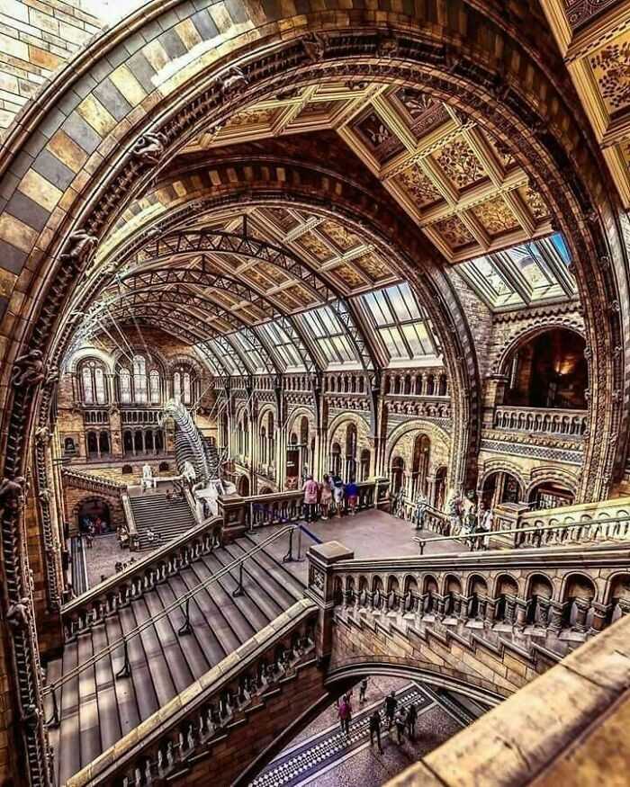Muzeum historii naturalnej, Londyn