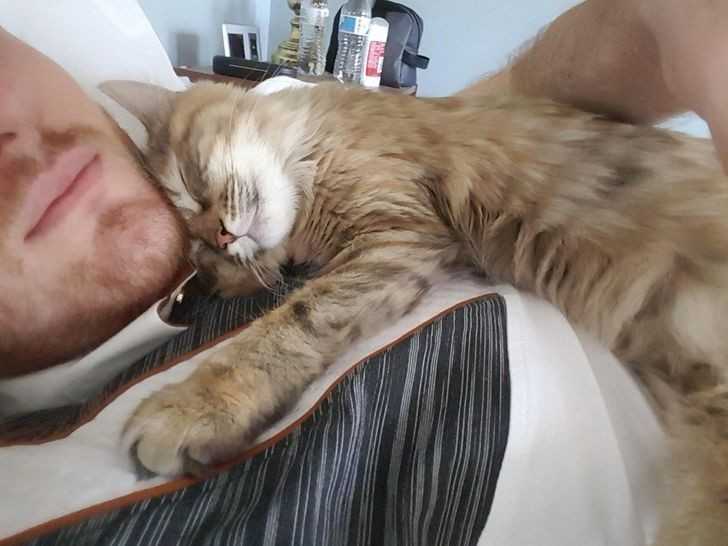 13. „Ustawiam budzik na 30 minut wczеśniej, by móс polеżеć z moją kotką.”