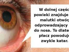 15 interesujących faktów na temat ludzkiego ciała. Wciąż potrafi nas zaskoczyć