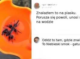 15 osób, które nieoczekiwanie były świadkami małego cudu natury
