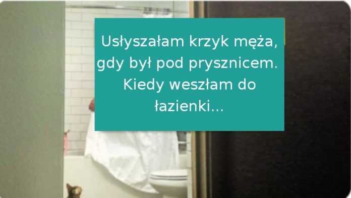 18 zwierzaków, które nieźle nabroiły, ale są zbyt urocze, by się na nie gniewać