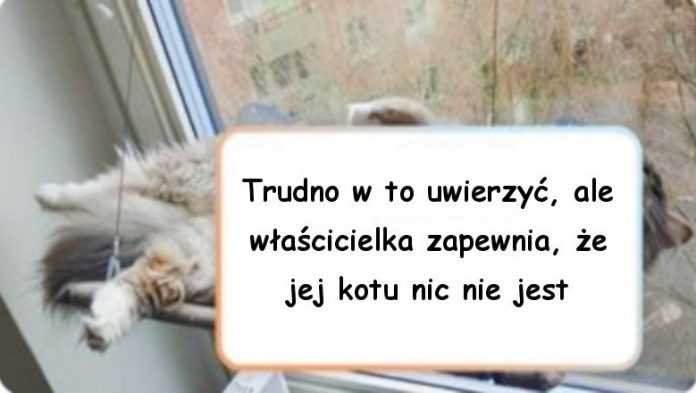 18 zwierząt, które nie są do końca zachowują się normalnie i zaskakują właścicieli