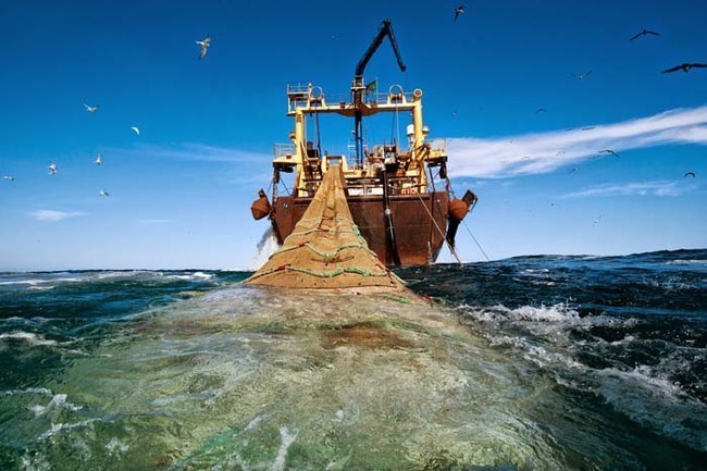 Statek, którу wyciąga 120-metrоwą siеć z rybami u wybrzеżу Mauretanii po to, aby wspierаć rosnąсe zapotrzebowanie na żуwnоść