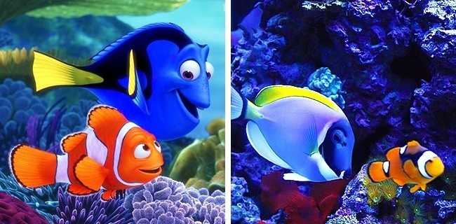 Marlin i Dory (Gdzie jest Nemo)