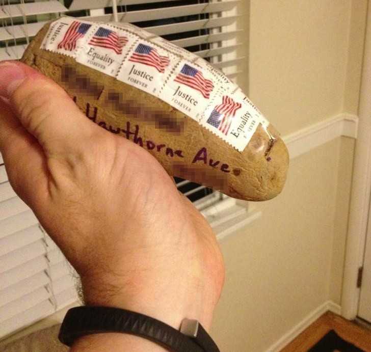 Jego brat wysłаł mu pocztą ziemniaka, bo dlaczego nie?